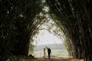 bamboo wedding arbour