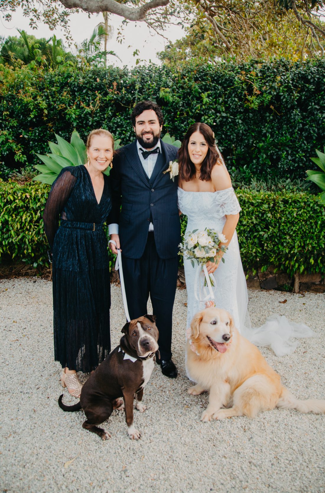 Dogs as bridesmaid and groomsman